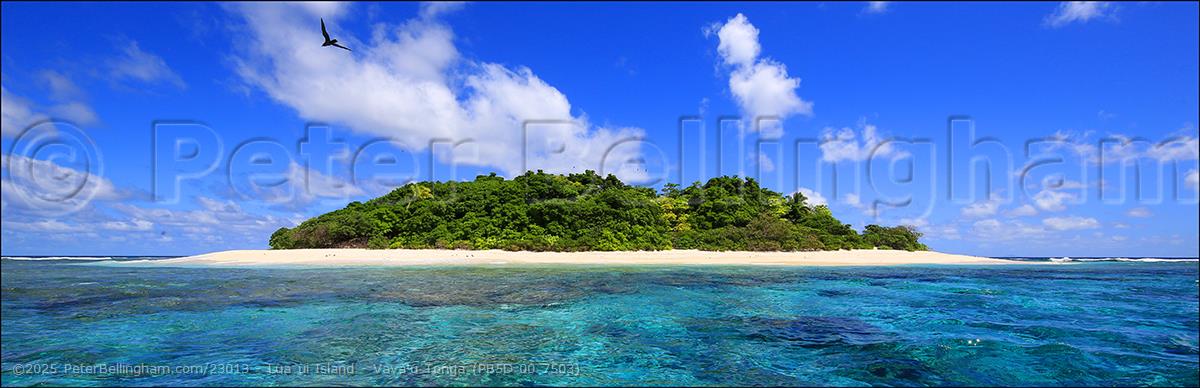 Peter Bellingham Photography Lua ui Island - Vava'u Tonga (PB5D 00 7503)